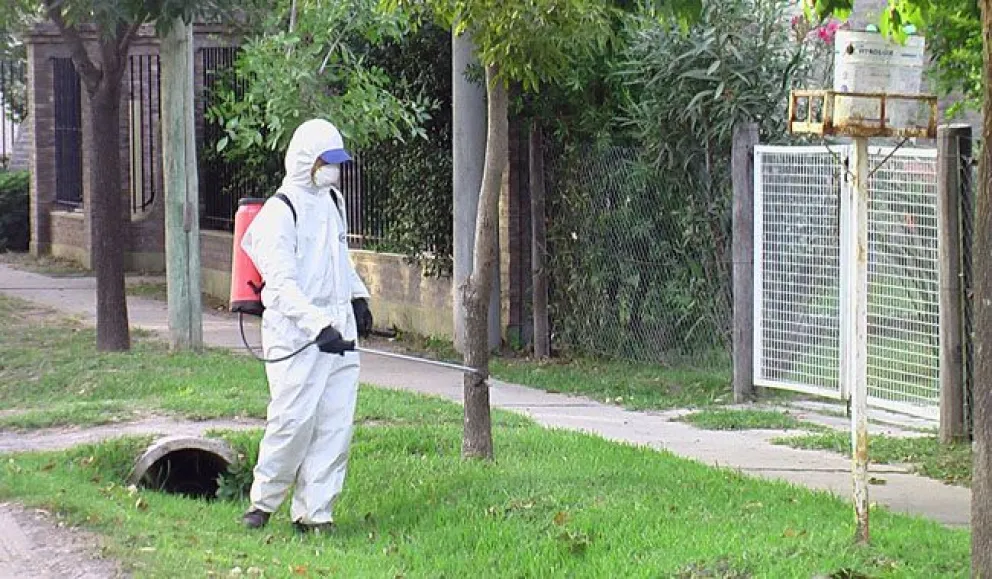 Estiman que se duplicarán los casos de dengue: se infectará el 10% de la gente