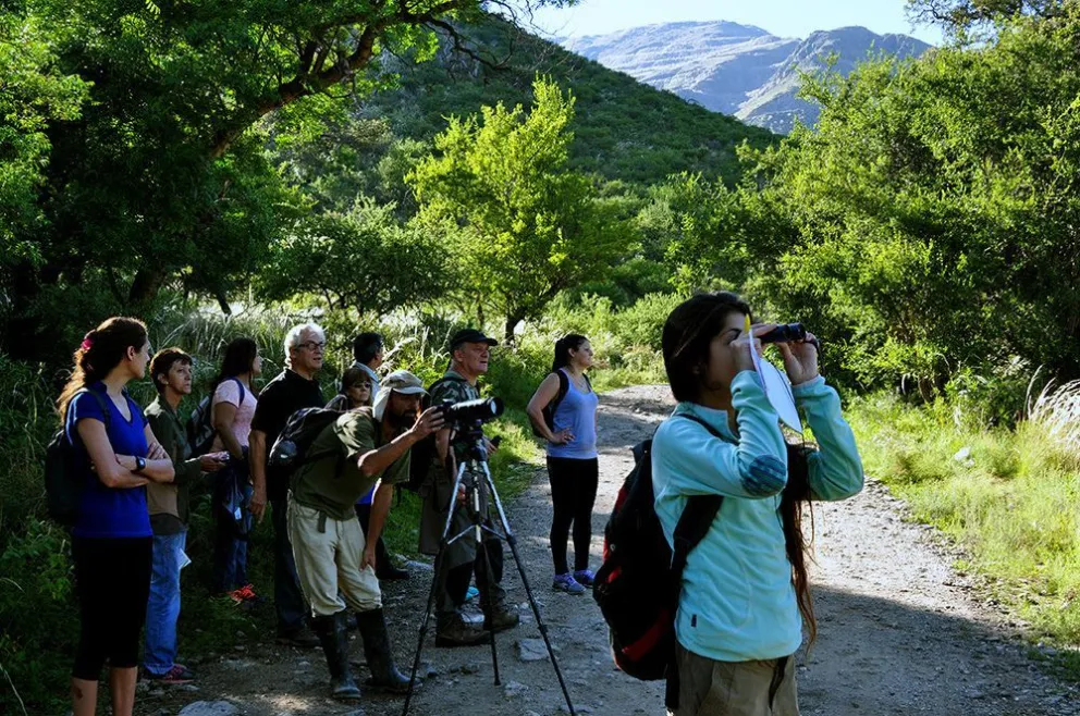 Avistajes de aves en Villa de Merlo