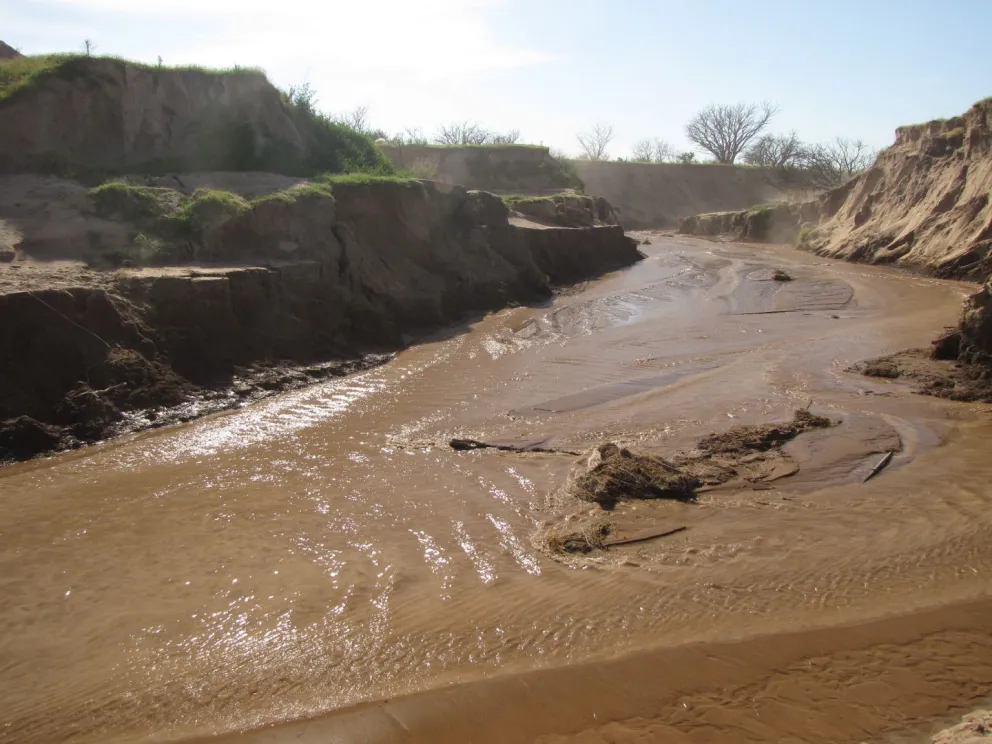 San Luis: sojeros deberán plantar 6 millones de árboles para mitigar los efectos de un Río Nuevo