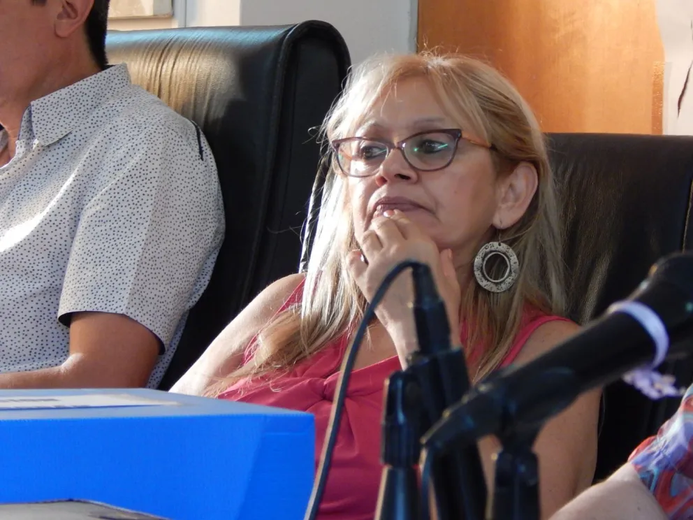 Sesión del Concejo Deliberante terminó a los gritos