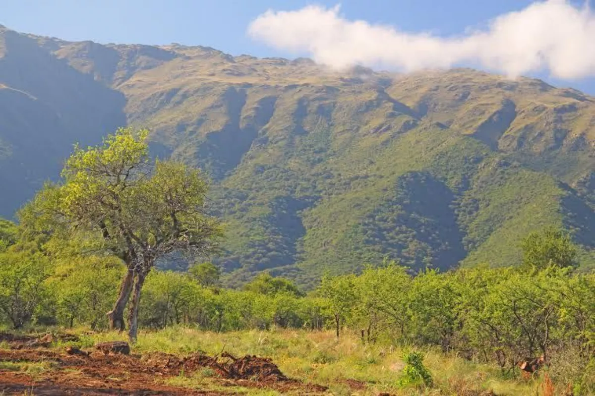 Un Lugar Para Vivir En Armonia Con La Naturaleza Infomerlo Com Noticias De La Villa De Merlo Provincia De San Luis