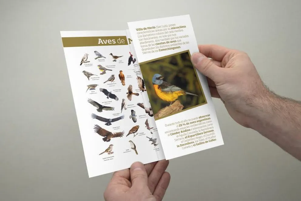 Villa de Merlo y sus aves como atractivo