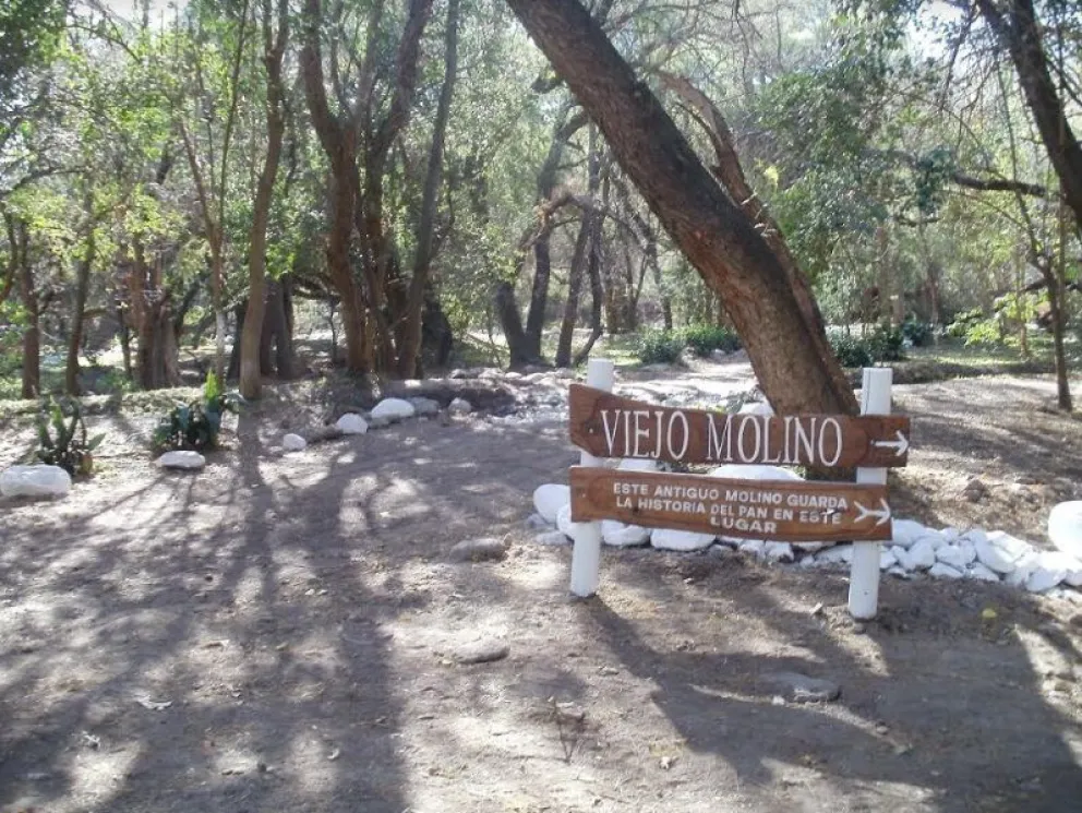 Reserva del Viejo Molino: la Municipalidad anunció la presentación del plan de manejo