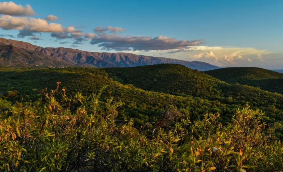 Este martes 31 de marzo se presenta con condiciones cálidas, algo ventosas e inestables en la provincia de San Luis.