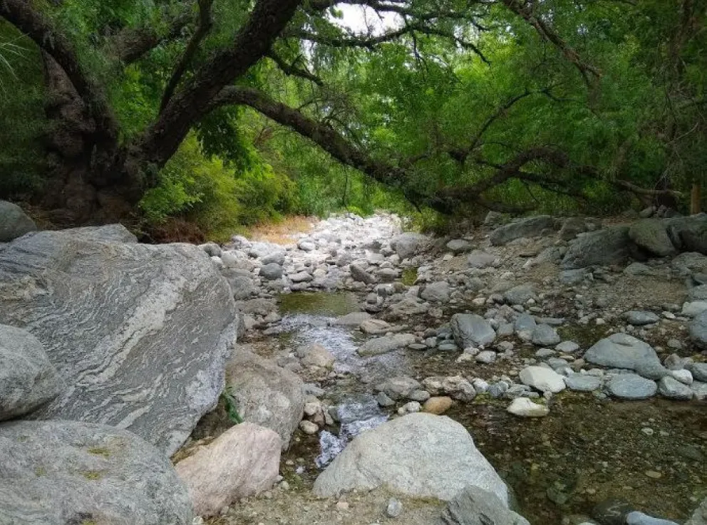 Las temperaturas máximas se ubicarán entre los 30 y 33°C, mientras que la mínima matinal ronda los 18°C.