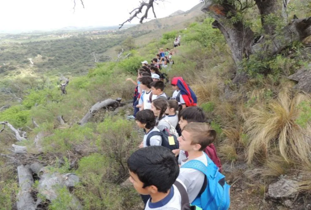 En Villa de Merlo, Mogote Bayo se consolidó como un destino preferido para recorrer senderos, observar flora y fauna autóctona y vivir una experiencia en contacto con la naturaleza.
