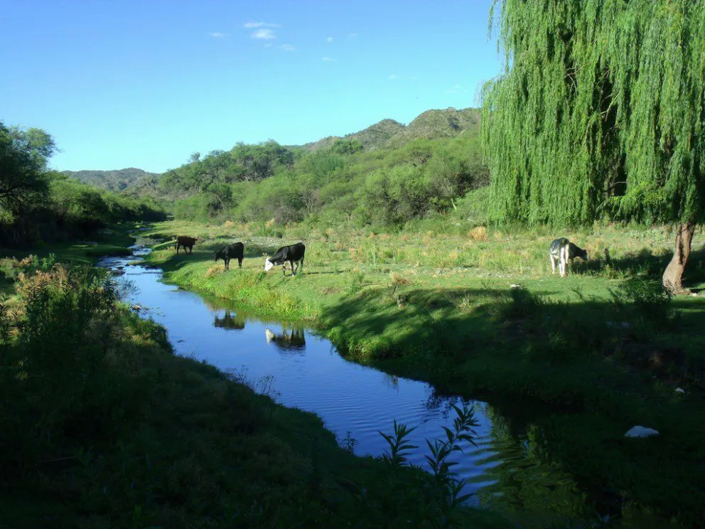 Conocé los nuevos horarios para visitar las Reservas Naturales de Mogote Bayo y el Bajo de Véliz