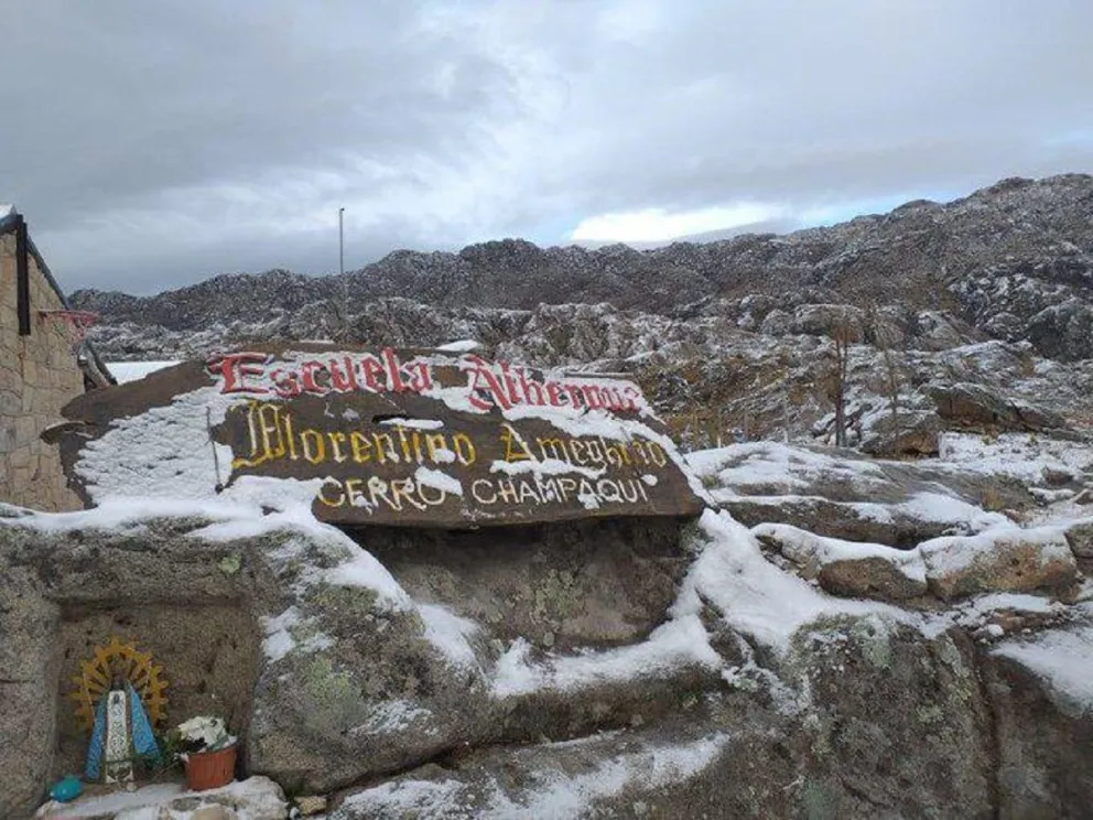 Nieve