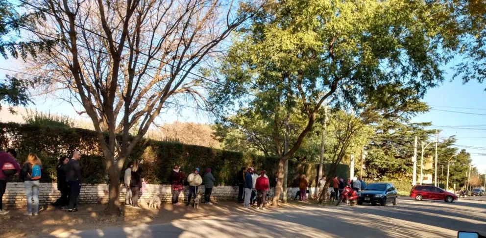 Vacunación antirrábica por los barrios