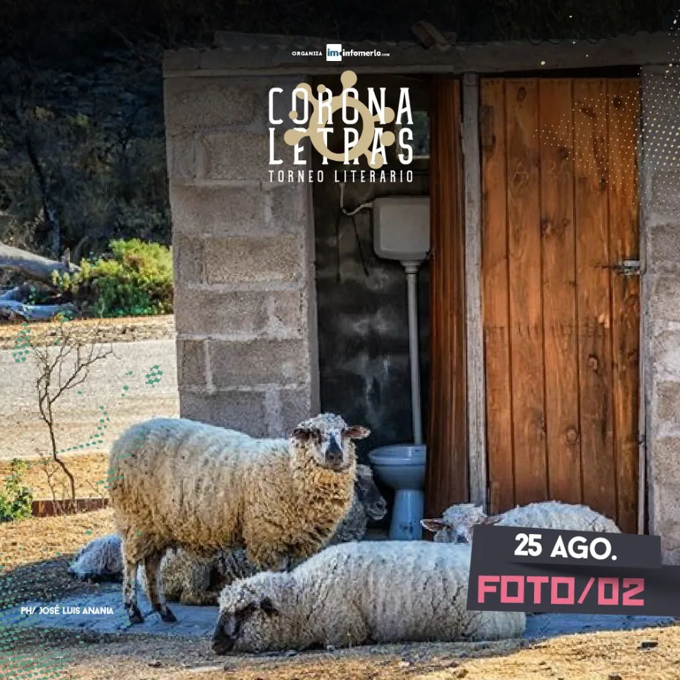 Torneo Literario Coronaletras: Segunda foto 