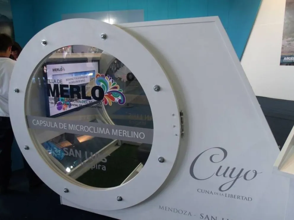 ¿Cómo surgió la idea de la cápsula del microclima?