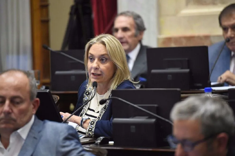 Desde Villa de Merlo y traslasierra también repudiaron el fallo contra el aborto dictado por una jueza de San Luis