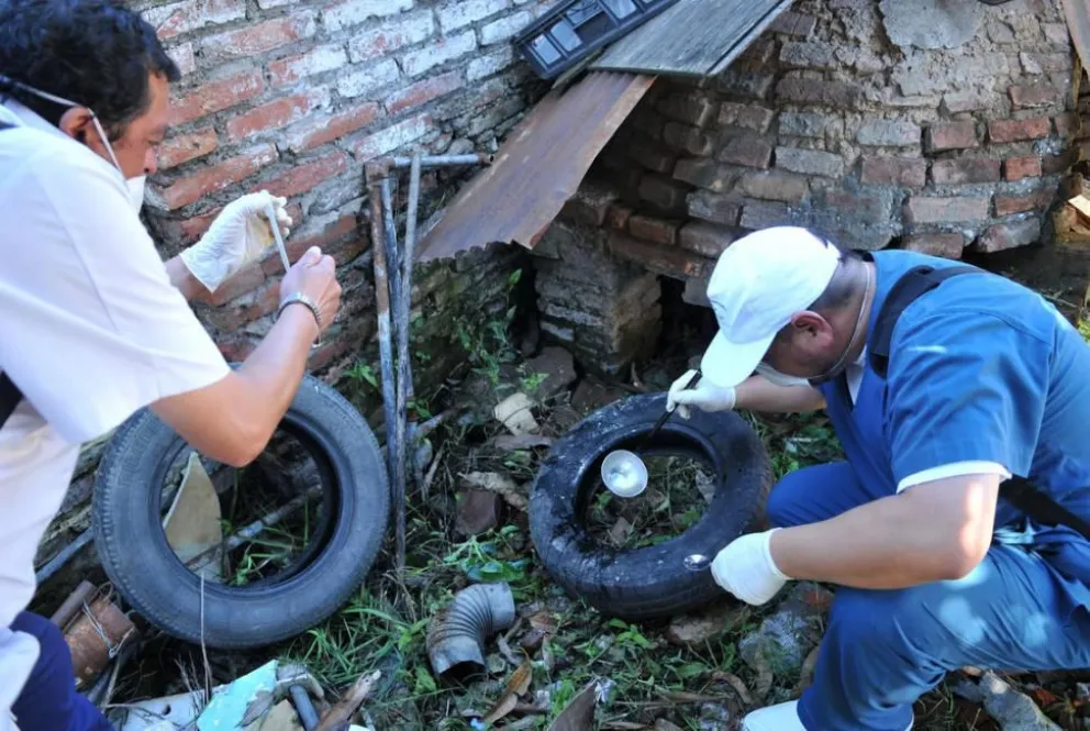 La primera fase, que incluye un servicio de recolección casa por casa, se desarrollará entre las 9 y las 13, recolectando objetos que acumulen agua, tales como neumáticos, recipientes de plástico, floreros, botellas y piletas de lona en desuso. 