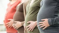 En 10 años, la "Asignación por embarazo" benefició a casi 2 millones de personas