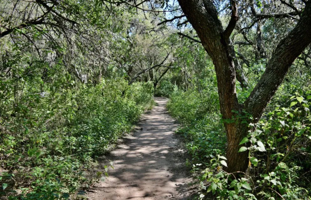 Concejo Deliberante: invitan a participar de la Sesión Verde 